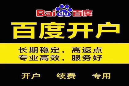 百度广告推广助力电商行业案例分析